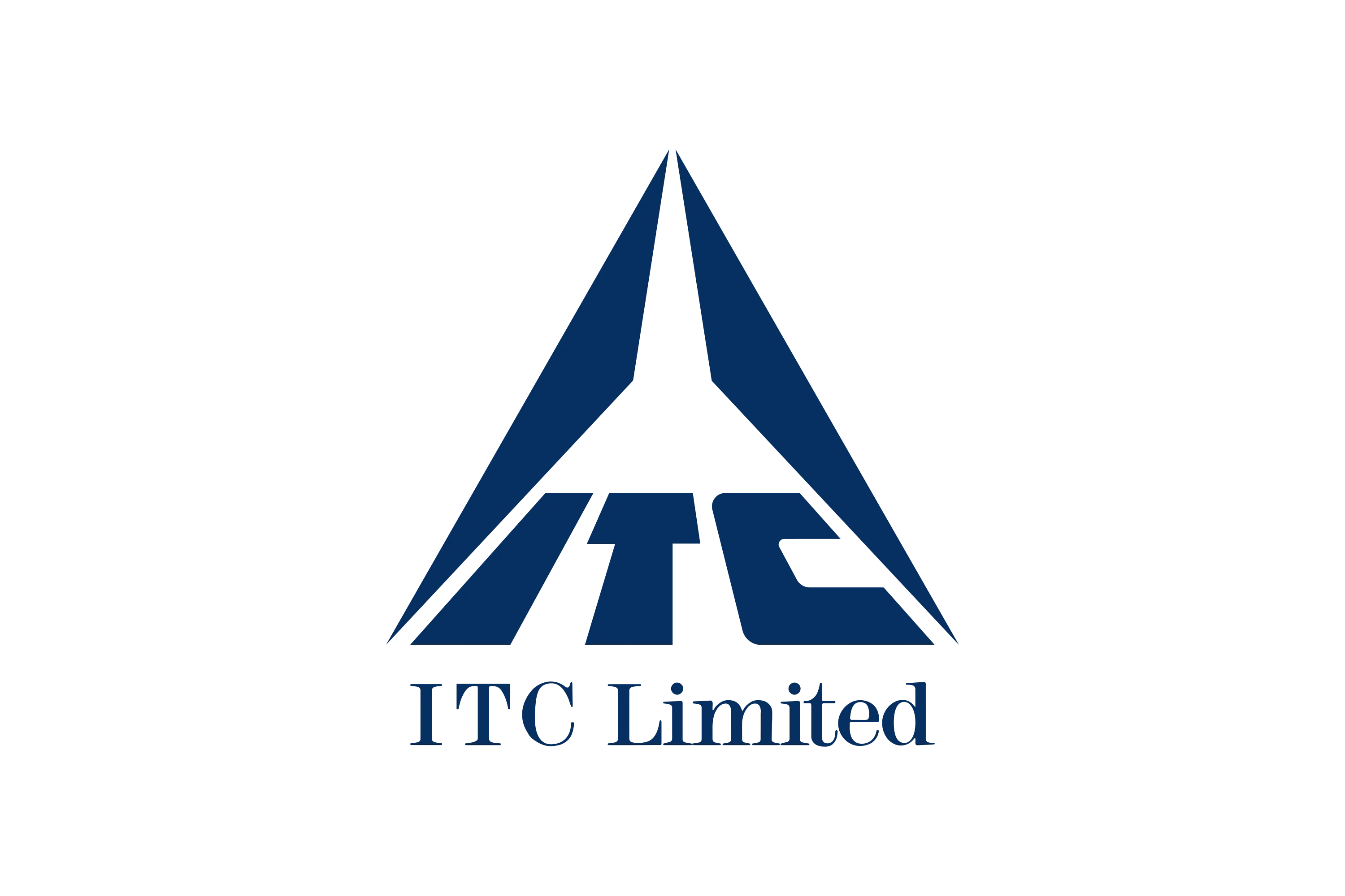 Partner Logo